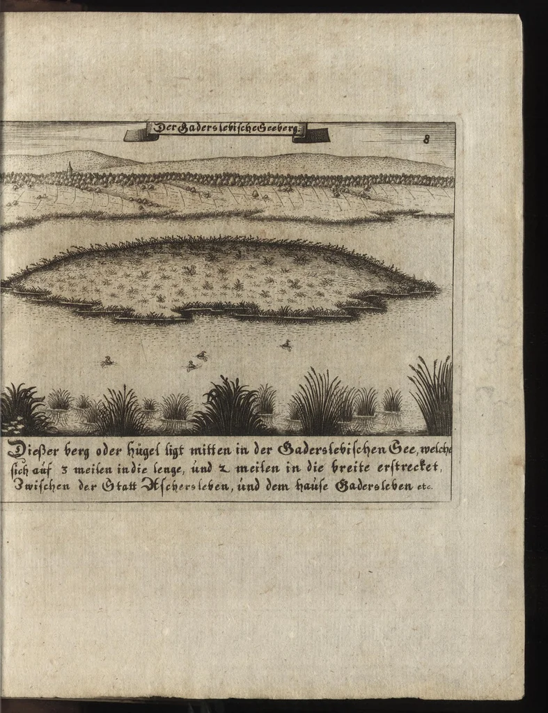 An illustration from Beschreibung des ganzen Fürstlich Braunschw. Gartens zu Hessem : mit seinen künstliche[n] Abteihlungen, Qvartiren, Gehegken, Gebeüden, LauberHütten, WasserKünsten, Brunnen und ausgehawenen Bildern : auch ordentliche Specification aller derer Simplicium und Gewechse, so von A[nn]o 1607 bis in dass 1651. Jahr, darinnen ... gezeuget worden : worbeij ein nohtwendiger Unterricht, wie ein feiner Lust-, Obst- und Küchengarte anzulegen ... : uber das eine gute Anleitung wie man allerleij sonderliche GärtenGewächse in der Küchen vielfältig nutzen solle : und was für feine Simplicia in den benachbarten Wäldern, Bergen, Gründen, Brüchen und auf den Hügeln in der See zu finden, und auf zu heben seÿn, 1653, leaf 174
