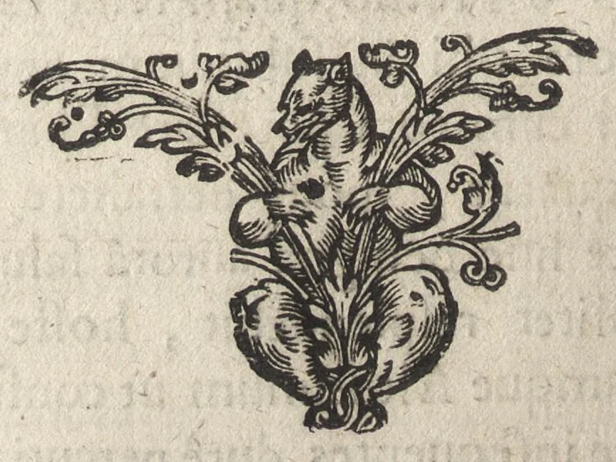 An illustration from Firmamentum symbolicum: in quo Deiparae elogia, quibus, velut firmamentum stellis, est exornata, symbolice depinguntur; opus ..., 1652, leaf 179