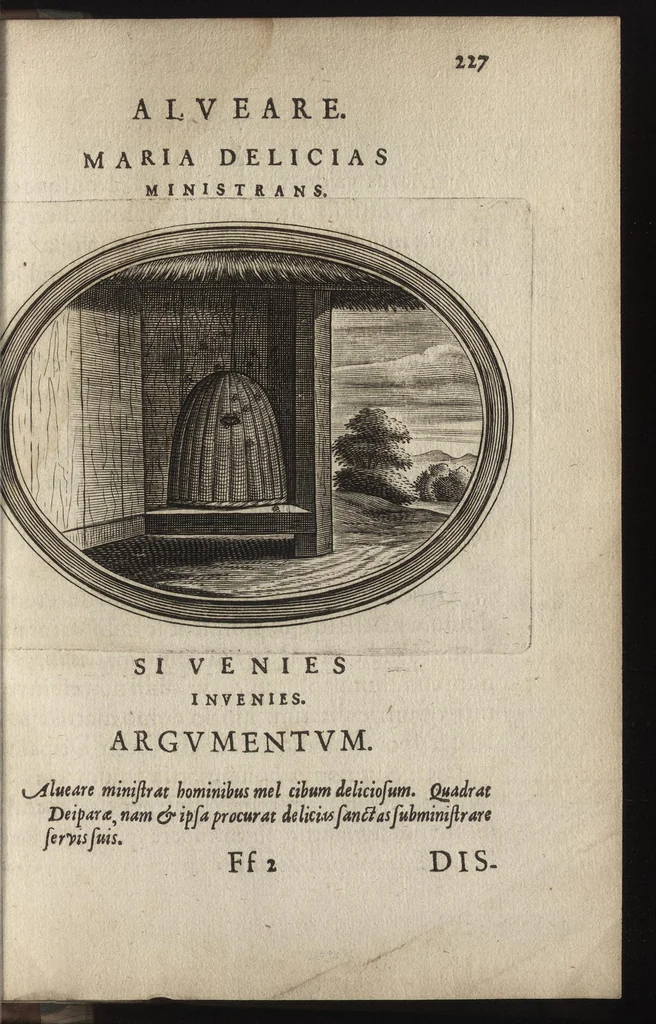 An illustration from Firmamentum symbolicum: in quo Deiparae elogia, quibus, velut firmamentum stellis, est exornata, symbolice depinguntur; opus ..., 1652, leaf 222