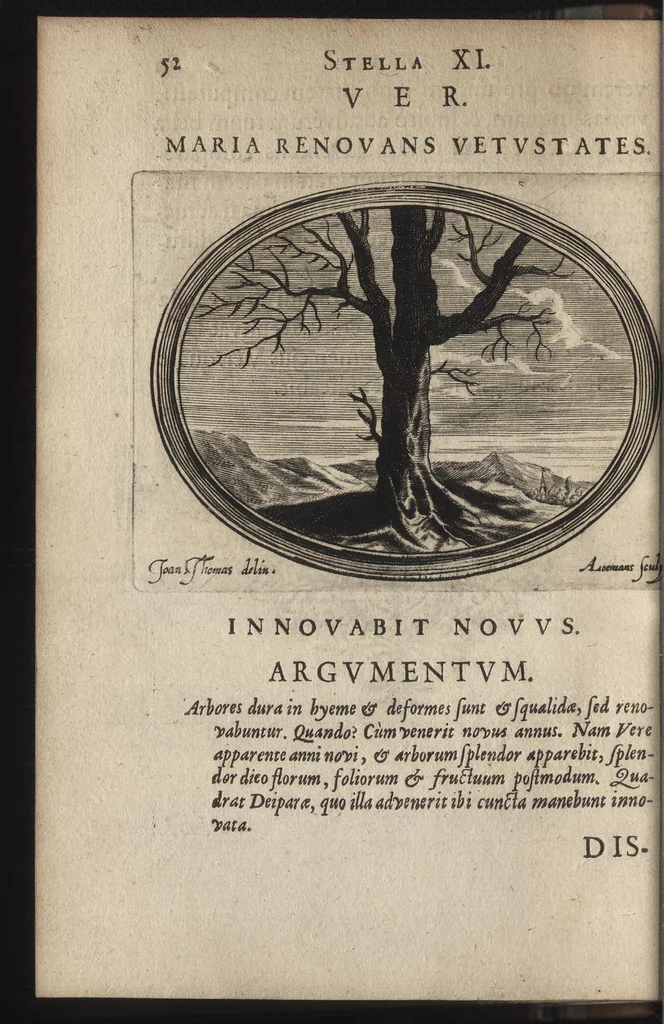 An illustration from Firmamentum symbolicum: in quo Deiparae elogia, quibus, velut firmamentum stellis, est exornata, symbolice depinguntur; opus ..., 1652, leaf 47