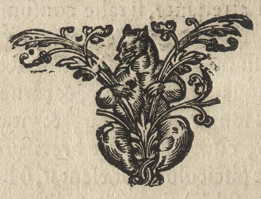 An illustration from Firmamentum symbolicum: in quo Deiparae elogia, quibus, velut firmamentum stellis, est exornata, symbolice depinguntur; opus ..., 1652, leaf 51