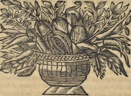 An illustration from Recueil des traitez de paix, de trêve, de neutralité, de suspension d'armes, de confédération, d'alliance, de commerce, de garantie, et d'autres actes publics : comme contracts de mariage, testaments, manifestes, declarations de guerre, &c. faits entre les empereurs, rois, républiques, princes, & autres puissances de l'Europe, & des autres parties du monde, depuis la naissance de Jesus-Christ jusqu'à présent : servant à établir les droits des princes, et de fondement a l'histoire .., 1700, leaf 845