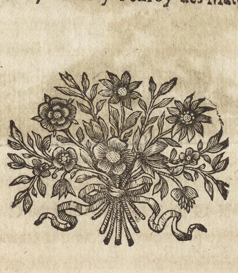 An illustration from Les Metamorphoses d'Ovide : mises en vers françois, 1697, leaf 276