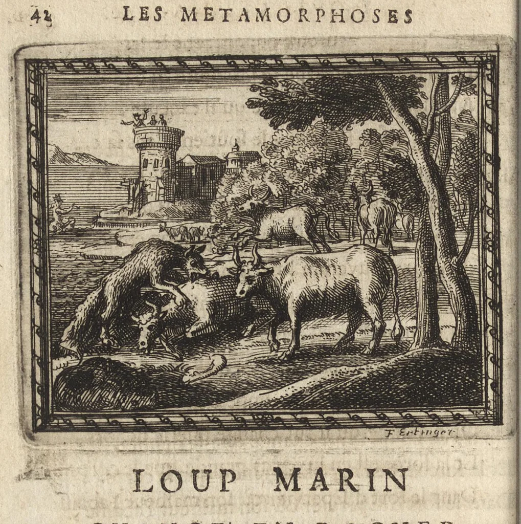 An illustration from Les Metamorphoses d'Ovide : mises en vers françois, 1697, leaf 51