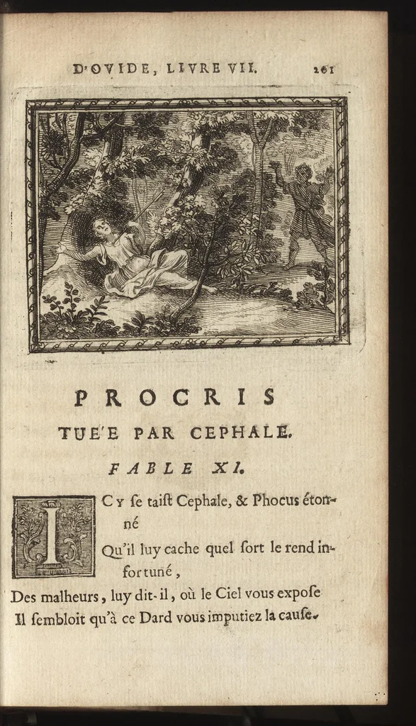 An illustration from Les Metamorphoses d'Ovide : mises en vers françois, 1697, leaf 212