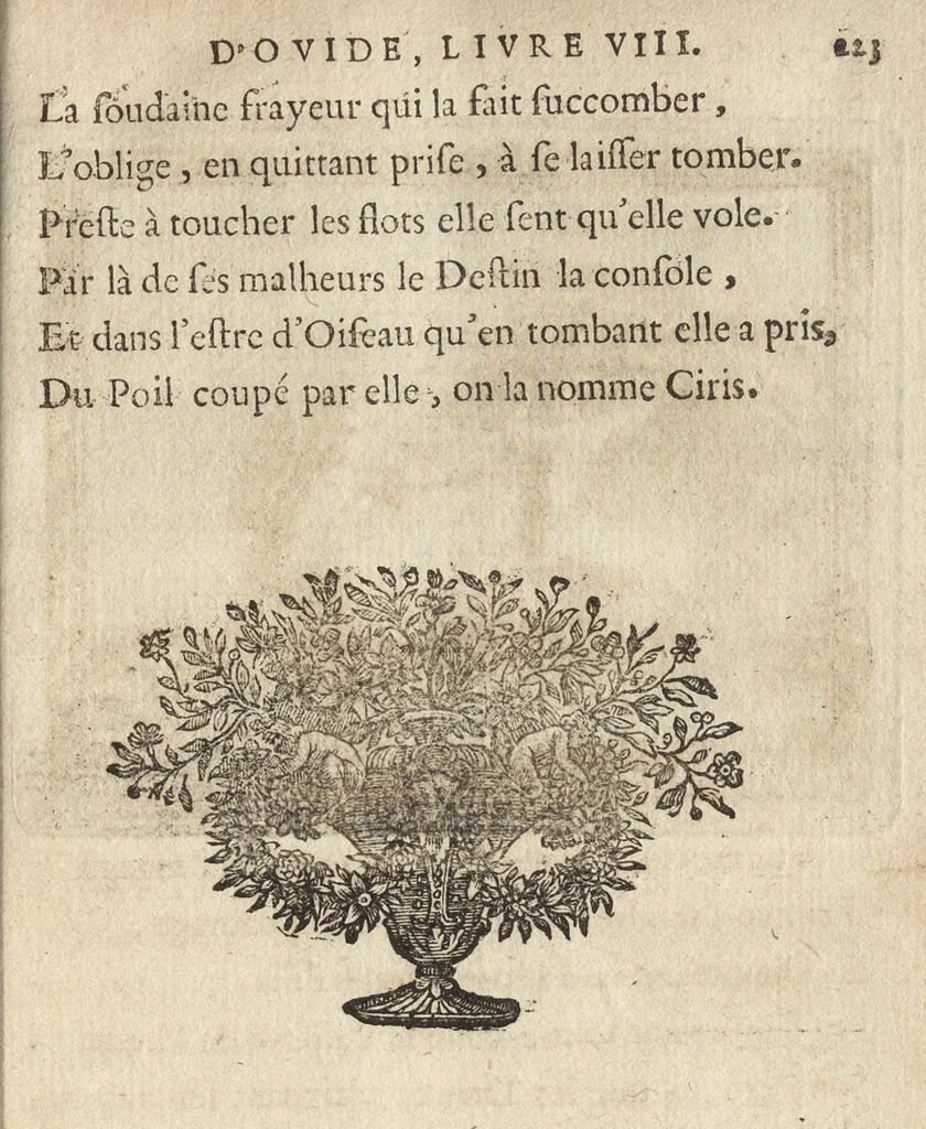 An illustration from Les Metamorphoses d'Ovide : mises en vers françois, 1697, leaf 234