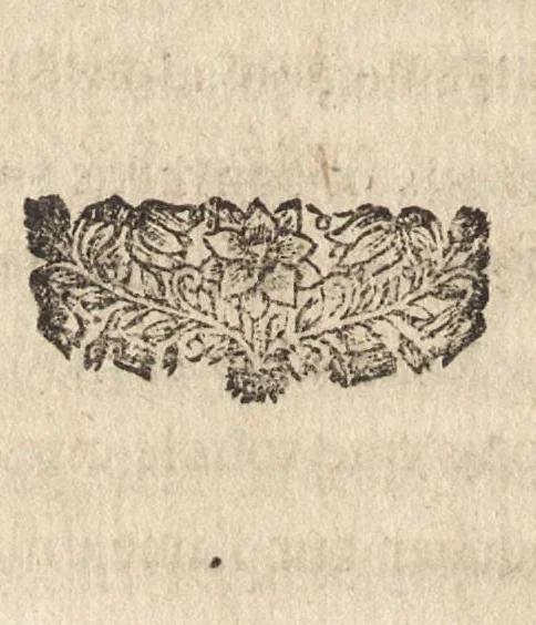An illustration from Les Metamorphoses d'Ovide : mises en vers françois, 1697, leaf 297