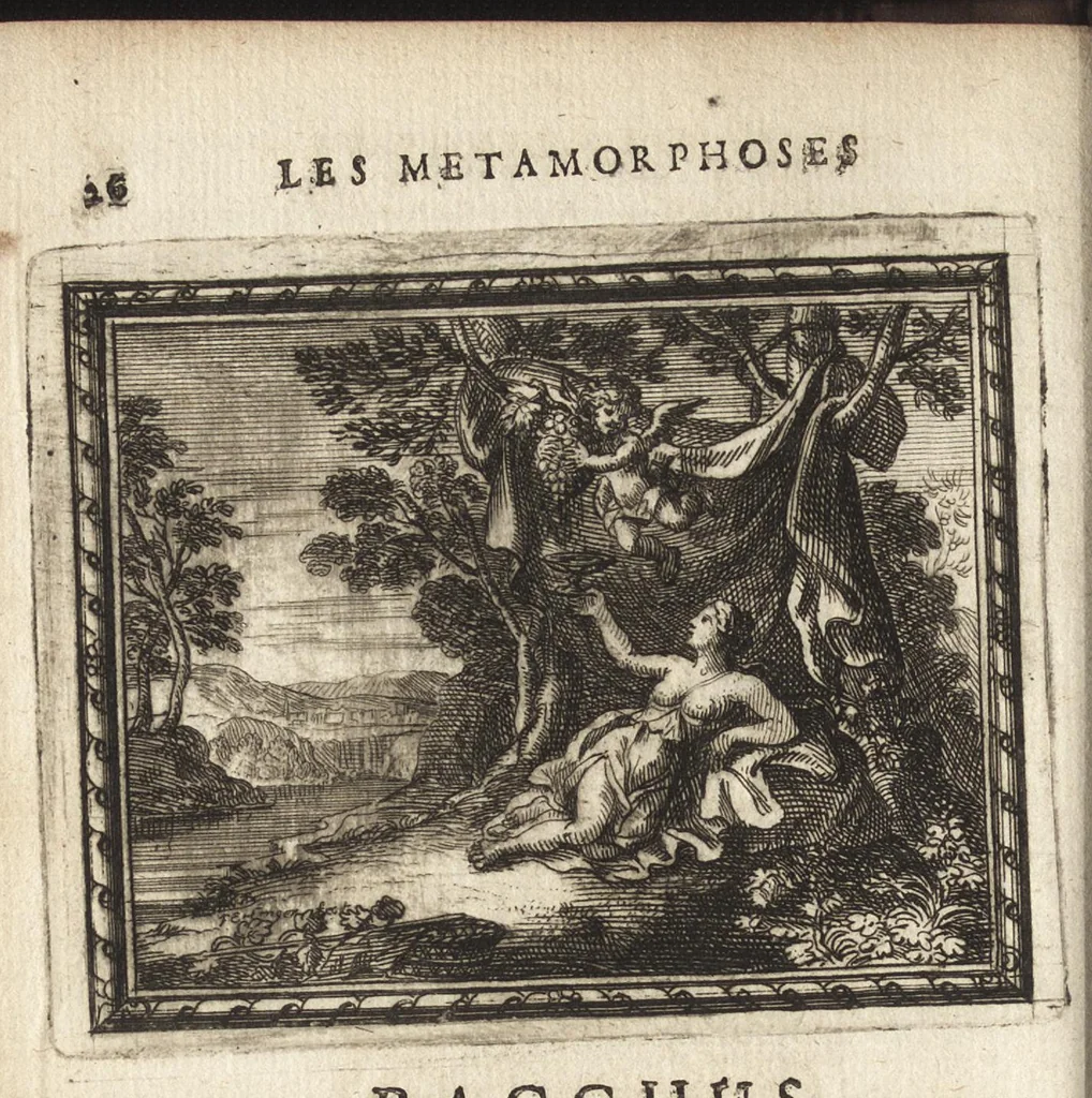 An illustration from Les Metamorphoses d'Ovide : mises en vers françois, 1697, leaf 37