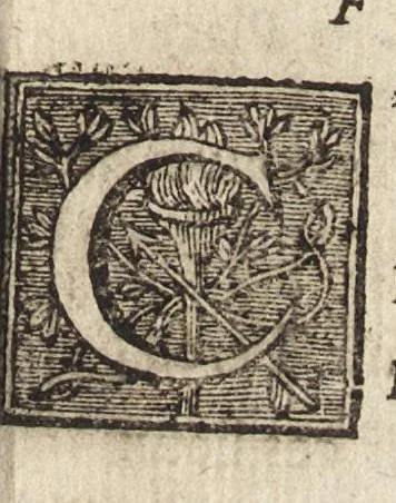 An illustration from Les Metamorphoses d'Ovide : mises en vers françois, 1697, leaf 78