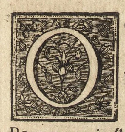 An illustration from Les Metamorphoses d'Ovide : mises en vers françois, 1697, leaf 240