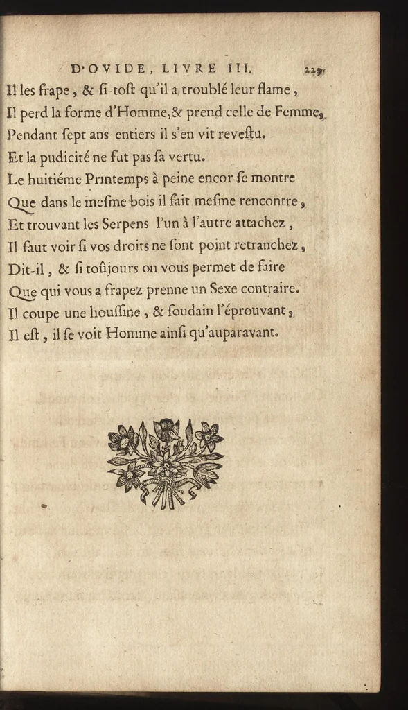 An illustration from Les Metamorphoses d'Ovide : mises en vers françois, 1697, leaf 248