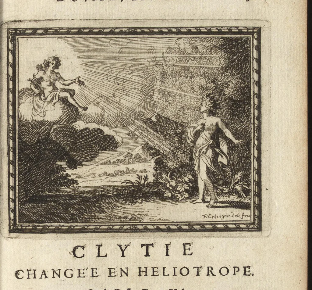 An illustration from Les Metamorphoses d'Ovide : mises en vers françois, 1697, leaf 330