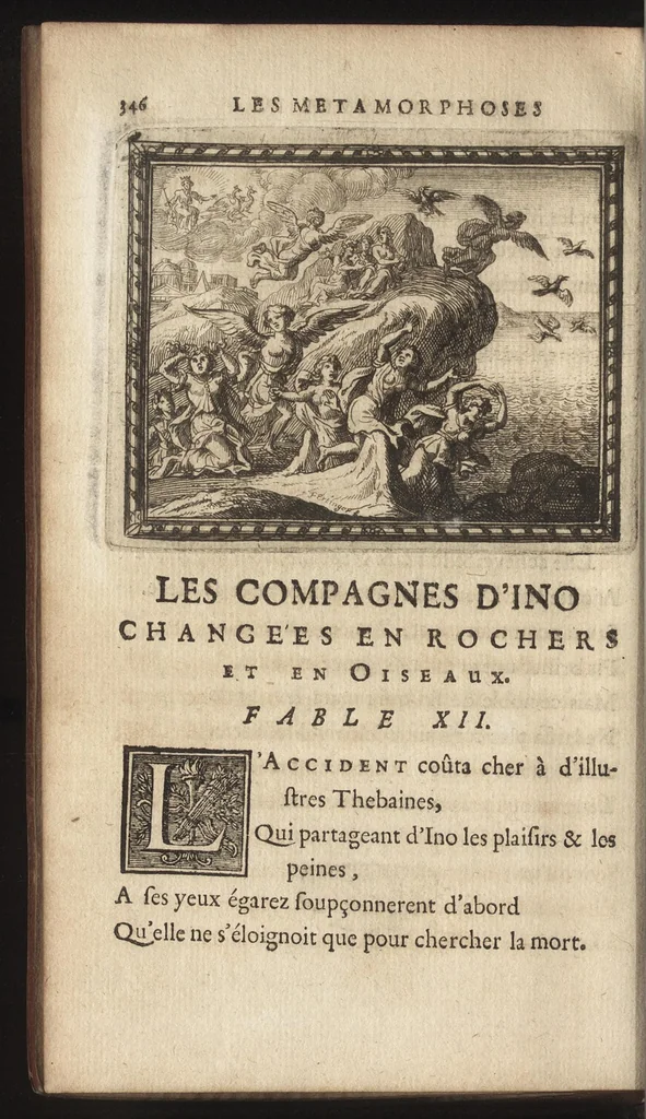 An illustration from Les Metamorphoses d'Ovide : mises en vers françois, 1697, leaf 365