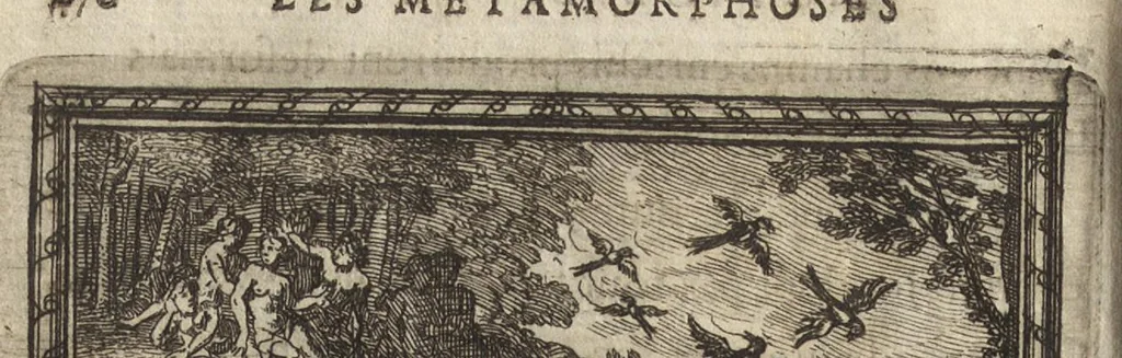 An illustration from Les Metamorphoses d'Ovide : mises en vers françois, 1697, leaf 489