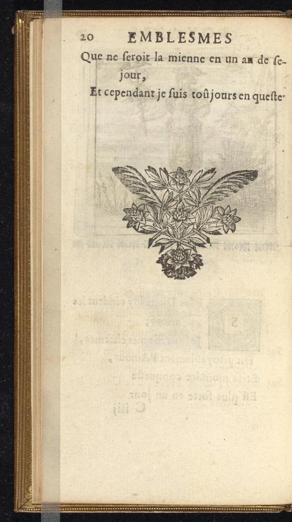 An illustration from Emblesmes royales a Louis le Grand, 1673, leaf 41