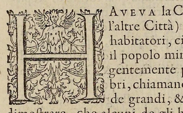 An illustration from Le historie della citta di Fiorenza di m. Iacopo Nardi cittadino fiorentino : le quali con tutta quella particolarità che bisogna, contengono quanto dal' anno 1494 fino al tempo del' anno 1531 è successo : con vn catalogo de gonfalonieri di giustitia, che hanno seduto nel supremo magistrato della citta di Fiorenza : et nella fine vn discorso sopra lo stato della magnifica città di Lione : nuoamente poste in luce, 1582, leaf 12