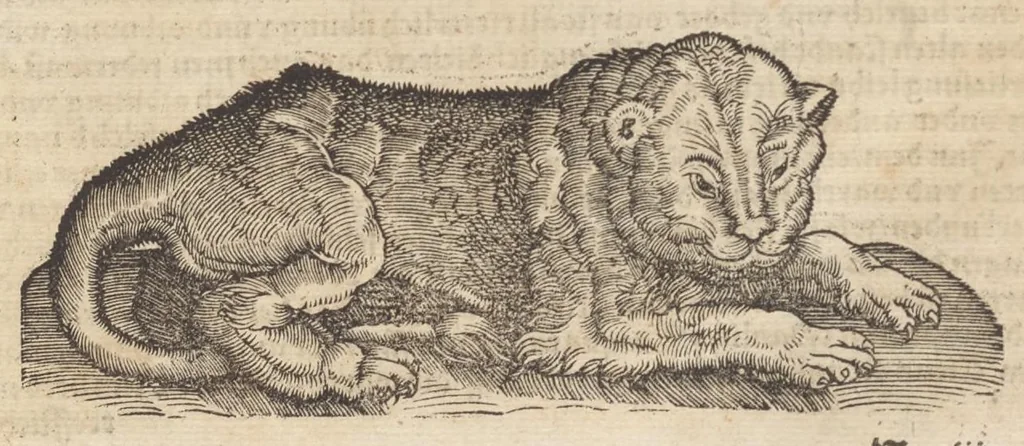 An illustration from Römische Historien : jetzundt mit gantzem fleiss besichtigt gebessert uñ gemert ..., 1538, leaf 178