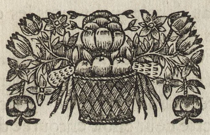 An illustration from Abregé des dix livres d'architecture de Vitruve, 1674, leaf 206