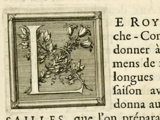 An illustration from Les divertissemens de Versailles donnez par le roy a toute sa cour au retour de la conqueste de la Franche-Comté en l'année M.DC.LXXIV, 1676, leaf 6