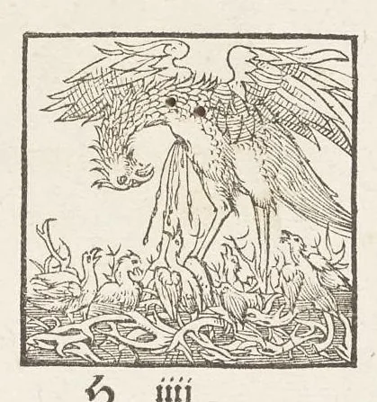 An illustration from Icones avivm omnivm, 1560, leaf 94