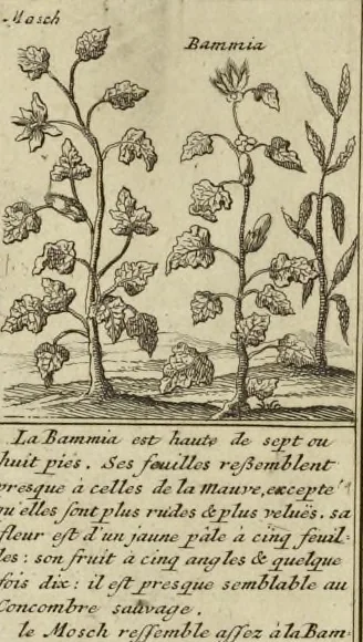An illustration from Atlas historique, ou, Nouvelle introduction a l'histoire, à la chronologie & à la géographie ancienne & moderne : représentée dans de nouvelles cartes, où l'on remarque l'établissement des etats & empires du monde, leur durée, leur chûte, & leurs differens gouvernemens : la chronologie des consuls romains, des Papes, de empereurs, des rois & des princes, &c. qui ont été depuis le commencement du monde, jusqu'à présent : et la génealogie des maisons souveraines de l'Europe., 1720, leaf 137
