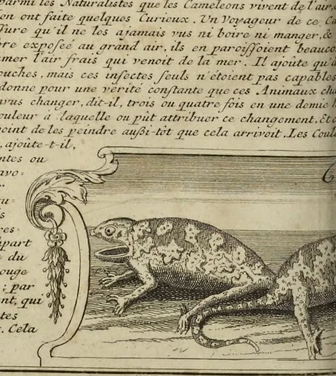 An illustration from Atlas historique, ou, Nouvelle introduction a l'histoire, à la chronologie & à la géographie ancienne & moderne : représentée dans de nouvelles cartes, où l'on remarque l'établissement des etats & empires du monde, leur durée, leur chûte, & leurs differens gouvernemens : la chronologie des consuls romains, des Papes, de empereurs, des rois & des princes, &c. qui ont été depuis le commencement du monde, jusqu'à présent : et la génealogie des maisons souveraines de l'Europe., 1720, leaf 137