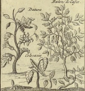 An illustration from Atlas historique, ou, Nouvelle introduction a l'histoire, à la chronologie & à la géographie ancienne & moderne : représentée dans de nouvelles cartes, où l'on remarque l'établissement des etats & empires du monde, leur durée, leur chûte, & leurs differens gouvernemens : la chronologie des consuls romains, des Papes, de empereurs, des rois & des princes, &c. qui ont été depuis le commencement du monde, jusqu'à présent : et la génealogie des maisons souveraines de l'Europe., 1720, leaf 138