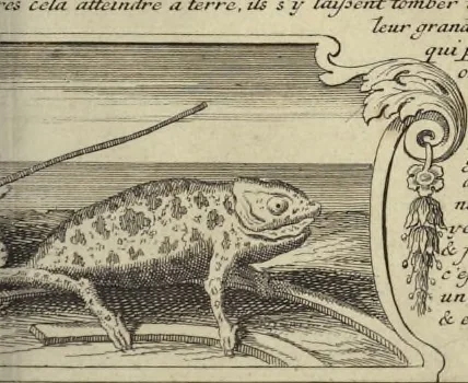 An illustration from Atlas historique, ou, Nouvelle introduction a l'histoire, à la chronologie & à la géographie ancienne & moderne : représentée dans de nouvelles cartes, où l'on remarque l'établissement des etats & empires du monde, leur durée, leur chûte, & leurs differens gouvernemens : la chronologie des consuls romains, des Papes, de empereurs, des rois & des princes, &c. qui ont été depuis le commencement du monde, jusqu'à présent : et la génealogie des maisons souveraines de l'Europe., 1720, leaf 138