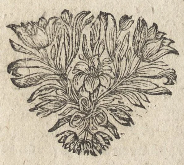 An illustration from Het nieuw tooneel der vuer-werken : waar in getoont werdt, het maken van alderhande soorten van vuer-werken, als kasteelen, slag-swaerden, draeken, starren, vuer-ballen, raderen, water-ballen, vuer-pijlen, voet-soekers, en veel meer andere vuer-werken, die die liefhebbers in het vervolgende sien konnen, 1678, leaf 107