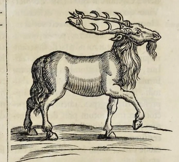 An illustration from Athanasii Kircheri è Soc. Jesu Arca Noë, in tres libros digesta : quorum I, De rebus quae ante diluvium : II, De iis, quae ipso diluvio ejusque duratione : III, De iis, quae post diluvium a Noëmo gesta sunt : quae omnia novâ methodo, nec non summa argumentorum varietate, explicantur & demonstrantur, 1675, leaf 105
