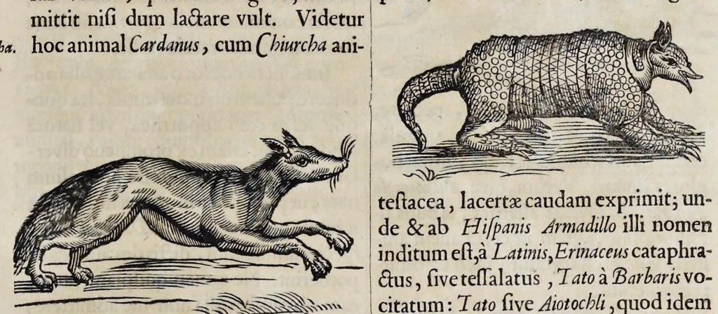 An illustration from Athanasii Kircheri è Soc. Jesu Arca Noë, in tres libros digesta : quorum I, De rebus quae ante diluvium : II, De iis, quae ipso diluvio ejusque duratione : III, De iis, quae post diluvium a Noëmo gesta sunt : quae omnia novâ methodo, nec non summa argumentorum varietate, explicantur & demonstrantur, 1675, leaf 106