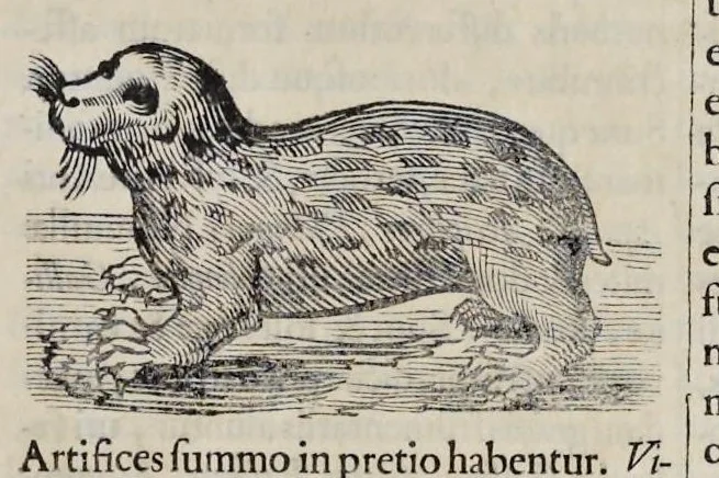 An illustration from Athanasii Kircheri è Soc. Jesu Arca Noë, in tres libros digesta : quorum I, De rebus quae ante diluvium : II, De iis, quae ipso diluvio ejusque duratione : III, De iis, quae post diluvium a Noëmo gesta sunt : quae omnia novâ methodo, nec non summa argumentorum varietate, explicantur & demonstrantur, 1675, leaf 110