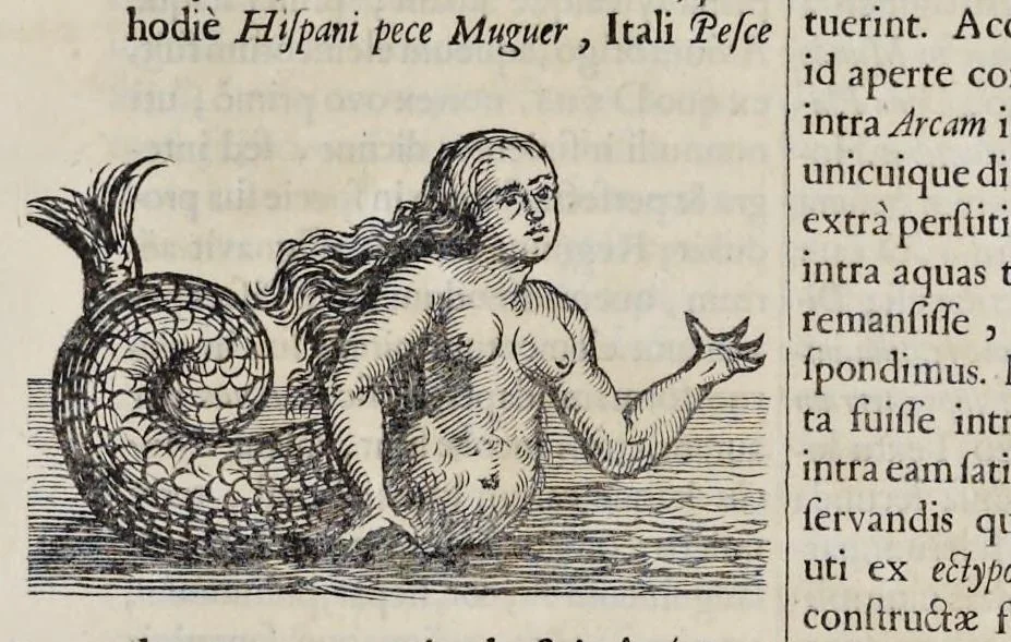 An illustration from Athanasii Kircheri è Soc. Jesu Arca Noë, in tres libros digesta : quorum I, De rebus quae ante diluvium : II, De iis, quae ipso diluvio ejusque duratione : III, De iis, quae post diluvium a Noëmo gesta sunt : quae omnia novâ methodo, nec non summa argumentorum varietate, explicantur & demonstrantur, 1675, leaf 110