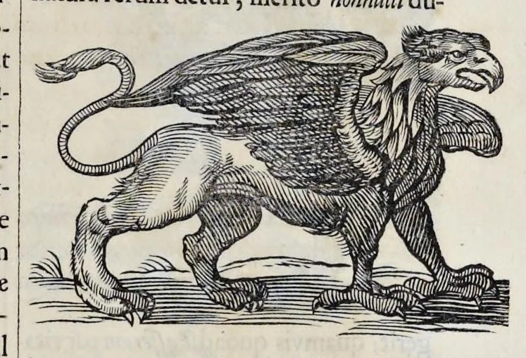 An illustration from Athanasii Kircheri è Soc. Jesu Arca Noë, in tres libros digesta : quorum I, De rebus quae ante diluvium : II, De iis, quae ipso diluvio ejusque duratione : III, De iis, quae post diluvium a Noëmo gesta sunt : quae omnia novâ methodo, nec non summa argumentorum varietate, explicantur & demonstrantur, 1675, leaf 114