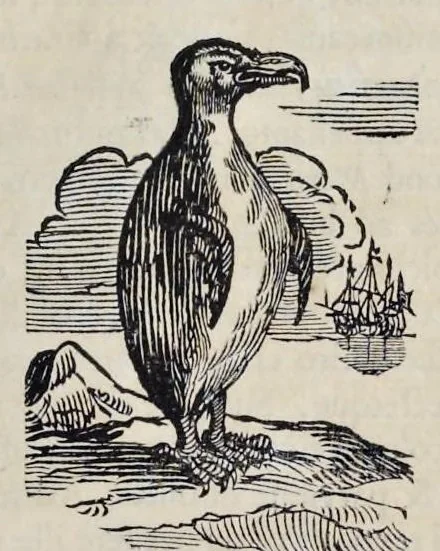 An illustration from Athanasii Kircheri è Soc. Jesu Arca Noë, in tres libros digesta : quorum I, De rebus quae ante diluvium : II, De iis, quae ipso diluvio ejusque duratione : III, De iis, quae post diluvium a Noëmo gesta sunt : quae omnia novâ methodo, nec non summa argumentorum varietate, explicantur & demonstrantur, 1675, leaf 126