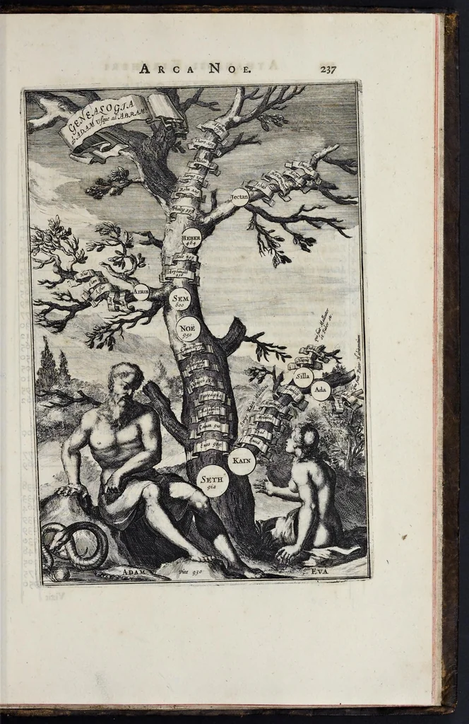 An illustration from Athanasii Kircheri è Soc. Jesu Arca Noë, in tres libros digesta : quorum I, De rebus quae ante diluvium : II, De iis, quae ipso diluvio ejusque duratione : III, De iis, quae post diluvium a Noëmo gesta sunt : quae omnia novâ methodo, nec non summa argumentorum varietate, explicantur & demonstrantur, 1675, leaf 304