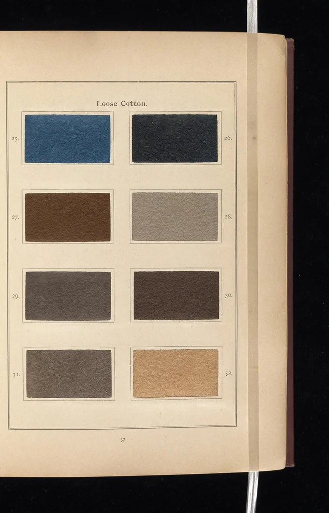 An illustration from The Katigen colours of the Farbenfabriken vorm. Friedr. Bayer & Co., Elberfeld : and their application in the various branches of the textile industries, 1902, leaf 46