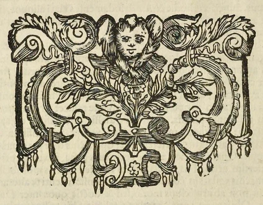 An illustration from Rerum et urbis Amstelodamensium historia. : In qua Hollandiæ primum atque inde Amstelandiæ, oppidiq[ue], natales ... additis suo loco tabulis æri incisis, ad hæc usque tempora, observata annorum serie accuratè omnia deducuntur., 1611, leaf 271