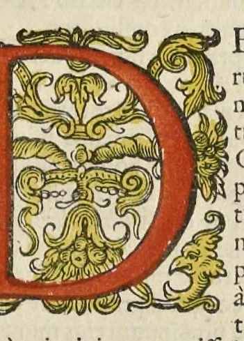 An illustration from Rerum et urbis Amstelodamensium historia. : In qua Hollandiæ primum atque inde Amstelandiæ, oppidiq[ue], natales ... additis suo loco tabulis æri incisis, ad hæc usque tempora, observata annorum serie accuratè omnia deducuntur., 1611, leaf 276