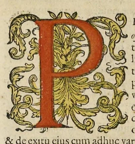 An illustration from Rerum et urbis Amstelodamensium historia. : In qua Hollandiæ primum atque inde Amstelandiæ, oppidiq[ue], natales ... additis suo loco tabulis æri incisis, ad hæc usque tempora, observata annorum serie accuratè omnia deducuntur., 1611, leaf 348