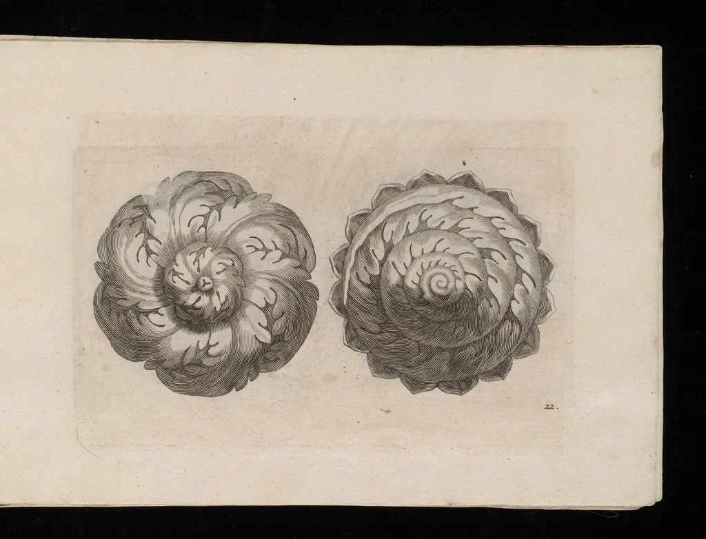 An illustration from Ein schön nützliches Zierathen Buch vor alle Künstler, als Goldtschmid, Bildthauer, Mahler, Ührmacher, Schlosser und andere, die sich der Kunst ergeben, 1680, leaf 44