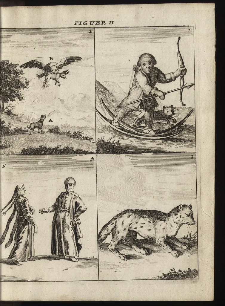 An illustration from De noordsche weereld : vertoond in twee nieuwe, aenmercklijcke, derwaerts gedaene reysen : d'eene, van de heer Martiniere door Norweegen, Lapland, Boranday, Siberien, Samojessie, Ys-land, Groenland en Nova-Zembla ... : dandre, van de Hamburger Frederick Martens, verright nae Spitsbergen of Groenland, in't jaer 1671 ..., 1685, leaf 374