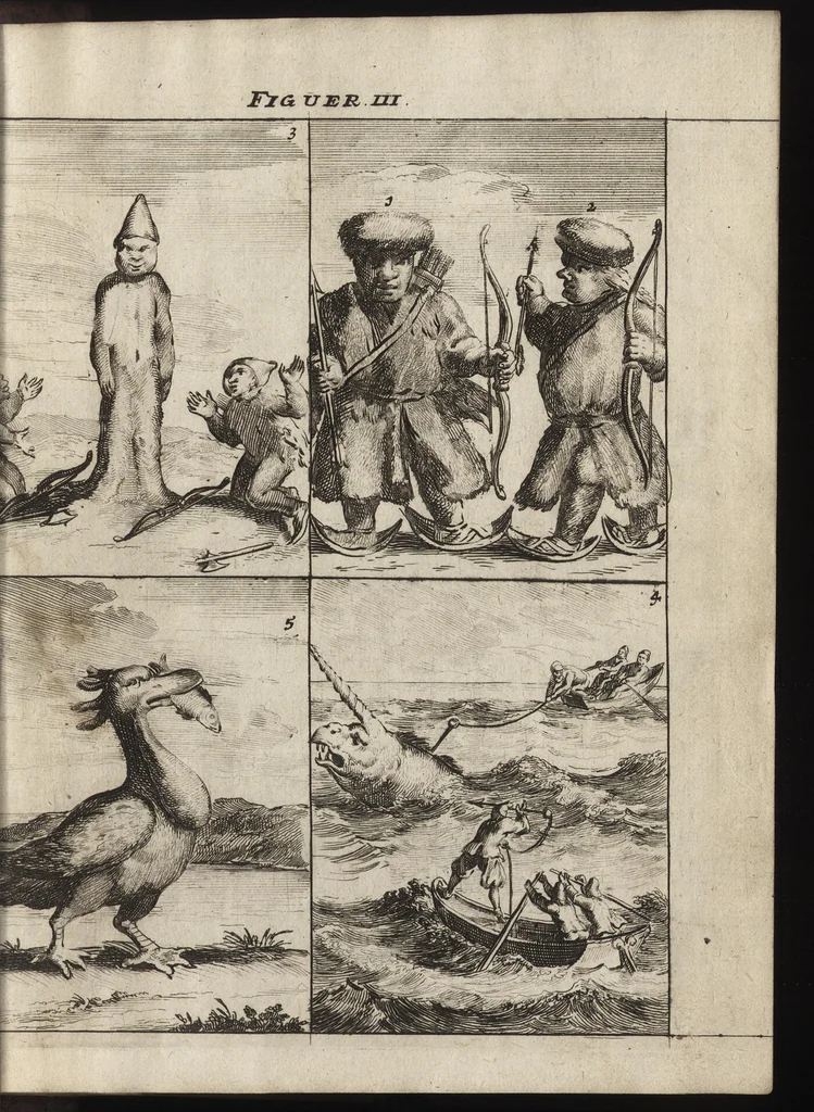An illustration from De noordsche weereld : vertoond in twee nieuwe, aenmercklijcke, derwaerts gedaene reysen : d'eene, van de heer Martiniere door Norweegen, Lapland, Boranday, Siberien, Samojessie, Ys-land, Groenland en Nova-Zembla ... : dandre, van de Hamburger Frederick Martens, verright nae Spitsbergen of Groenland, in't jaer 1671 ..., 1685, leaf 376