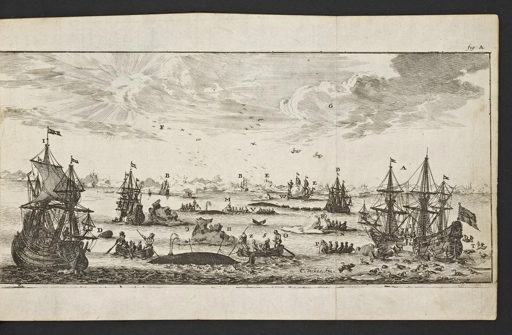An illustration from De noordsche weereld : vertoond in twee nieuwe, aenmercklijcke, derwaerts gedaene reysen : d'eene, van de heer Martiniere door Norweegen, Lapland, Boranday, Siberien, Samojessie, Ys-land, Groenland en Nova-Zembla ... : dandre, van de Hamburger Frederick Martens, verright nae Spitsbergen of Groenland, in't jaer 1671 ..., 1685, leaf 380