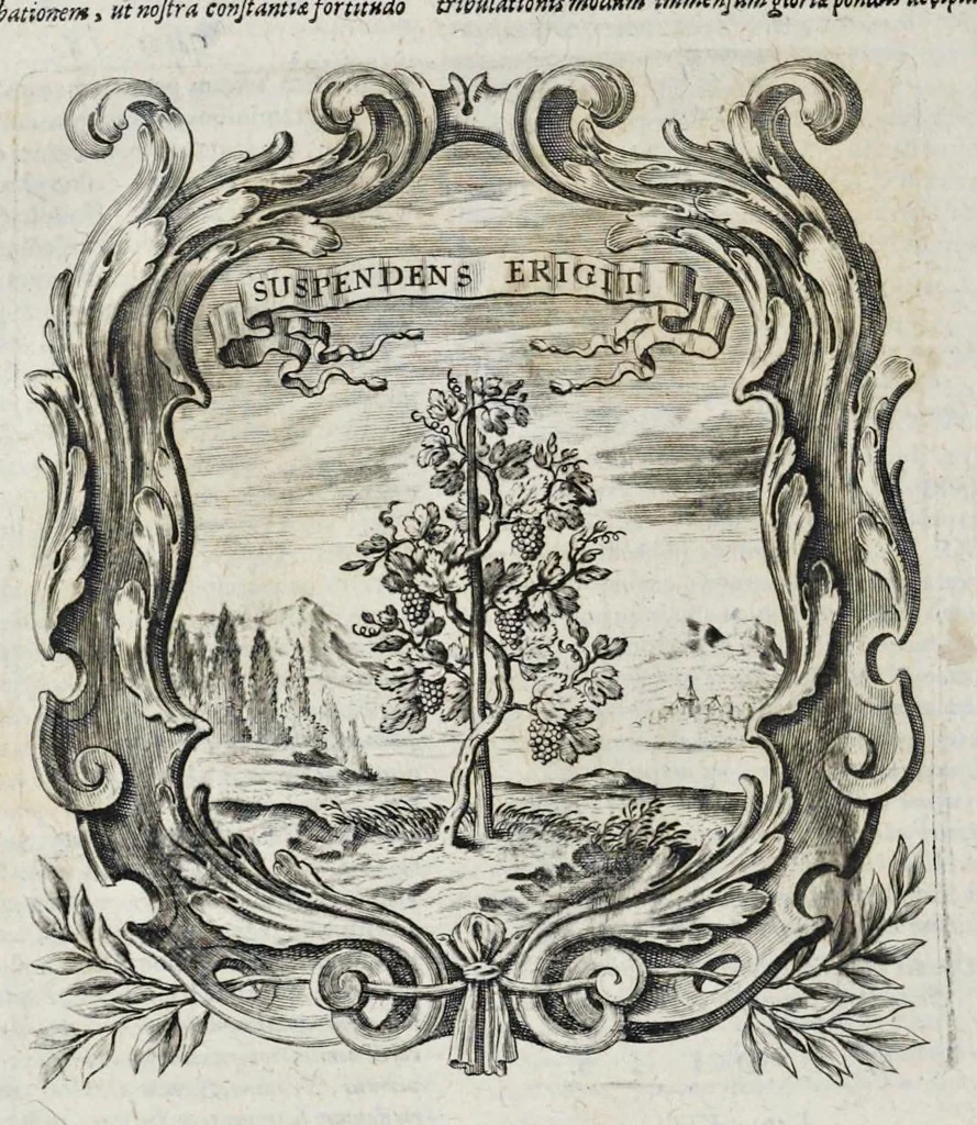An illustration from Mundus symbolicus : in emblematum universitate formatus, explicatus, et tam sacris quàm profanis eruditionibus ac sententiis illustratus : subministrans oratoribus, praedicatoribus, academicis, poetis &c. innumera conceptuum argumenta, 1729, leaf 1039