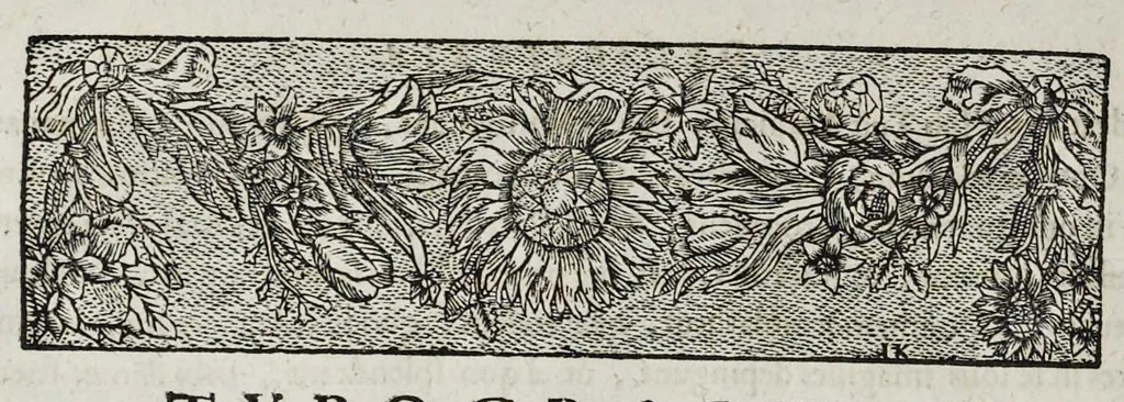 An illustration from Mundus symbolicus : in emblematum universitate formatus, explicatus, et tam sacris quàm profanis eruditionibus ac sententiis illustratus : subministrans oratoribus, praedicatoribus, academicis, poetis &c. innumera conceptuum argumenta, 1729, leaf 13