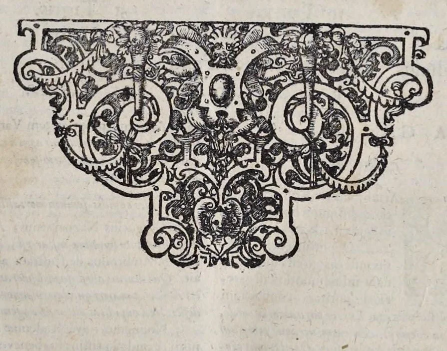 An illustration from Mundus symbolicus : in emblematum universitate formatus, explicatus, et tam sacris quàm profanis eruditionibus ac sententiis illustratus : subministrans oratoribus, praedicatoribus, academicis, poetis &c. innumera conceptuum argumenta, 1729, leaf 390