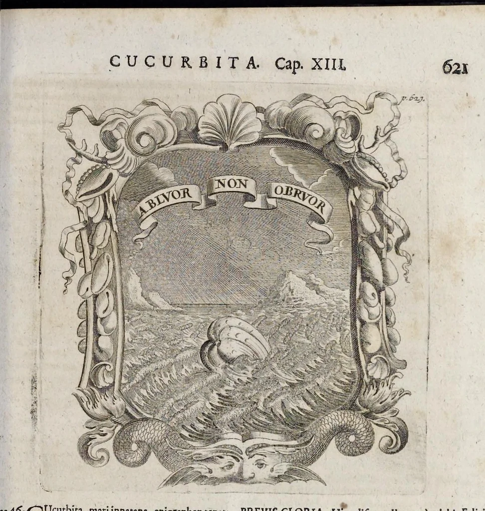 An illustration from Mundus symbolicus : in emblematum universitate formatus, explicatus, et tam sacris quàm profanis eruditionibus ac sententiis illustratus : subministrans oratoribus, praedicatoribus, academicis, poetis &c. innumera conceptuum argumenta, 1729, leaf 674
