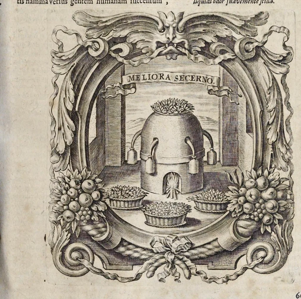 An illustration from Mundus symbolicus : in emblematum universitate formatus, explicatus, et tam sacris quàm profanis eruditionibus ac sententiis illustratus : subministrans oratoribus, praedicatoribus, academicis, poetis &c. innumera conceptuum argumenta, 1729, leaf 892