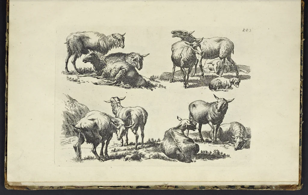 An illustration from The principles of drawing, or, An easy and familiar method for the improvement of youth in the practice of that useful art : being a compleat drawing book, containing a curious collection of examples in all the variety of cases, as the several parts of the human body, whole figures, landskips, cattle, &c. curiously engraved on copper-plates, after the designs of Albert Durer, Abrah. Bloemart, Carlo Morac, Le Clerc, Hollar, and other great masters : to which is prefix'd an introduction to drawing ..., 1764, leaf 106